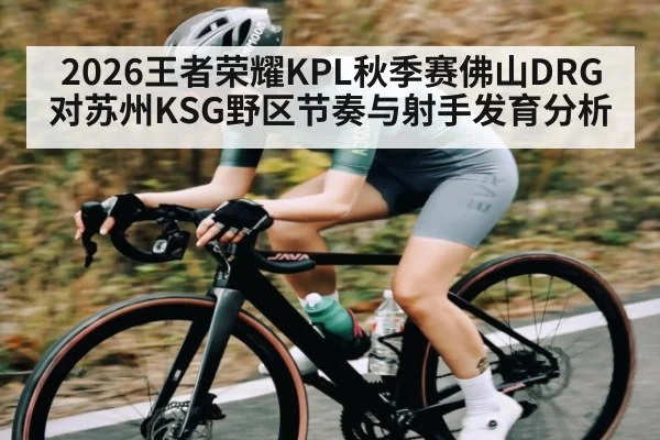 2026王者荣耀KPL秋季赛佛山DRG对苏州KSG野区节奏与射手发育分析